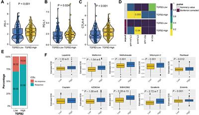 TGFβ2 is a Prognostic Biomarker for Gastric Cancer and is Associated With Methylation and Immunotherapy Responses